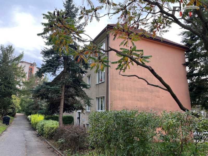 Pronájem bytu 1+kk v OV v cihlovém domě v Novém Boru