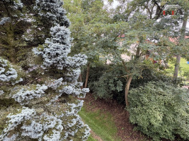 Pronájem rodinného domu v Bakově nad Jizerou - BEZ KAUCE