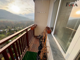 Prodej bytu 1+kk v OV v Novém Boru