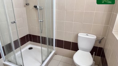 Pronájem vybaveného bytu 1+kk v České Lípě