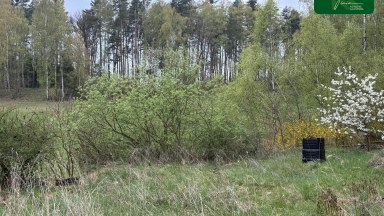 Prodej domu v obci Kvítkov (okres Česká Lípa)