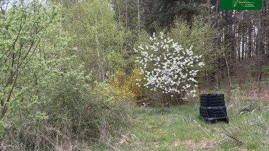 Prodej domu v obci Kvítkov (okres Česká Lípa)