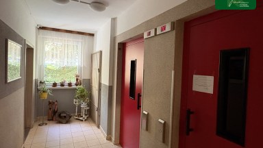Prodej bytu 1+1+ velká zasklená lodžie v České Lípě - Špičák