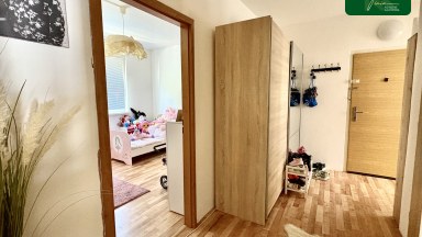 Prodej bytu 4+1+L v OV v Novém Boru