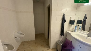 Pronájem komerčního objektu v České Lípě 